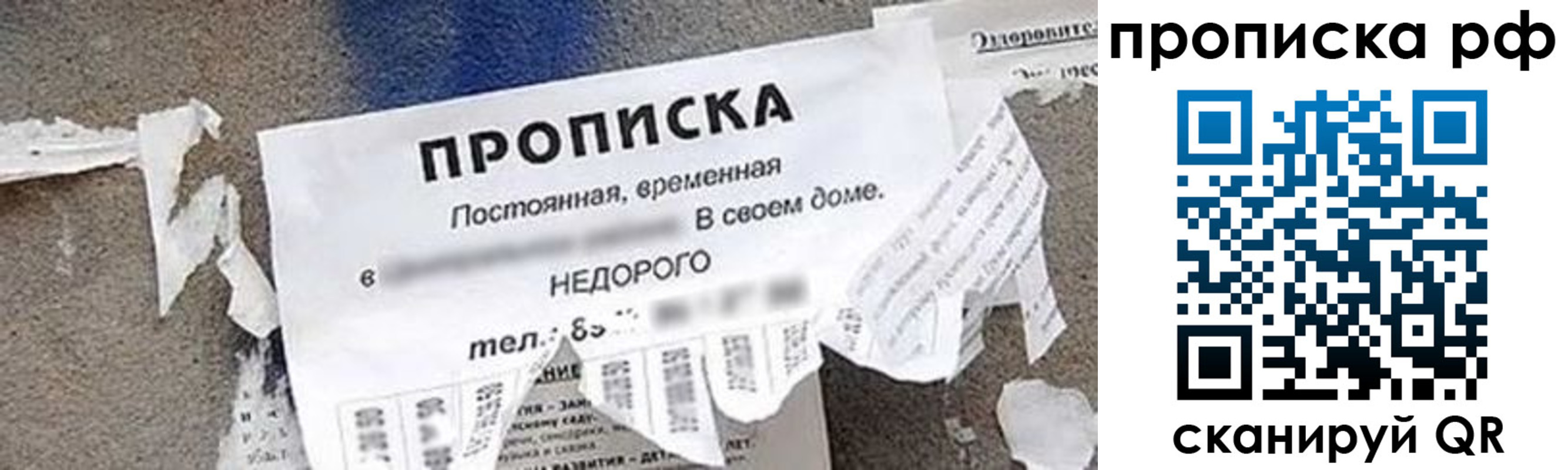 где прописаться в Светлом